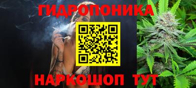 эйфоретик Бузулук