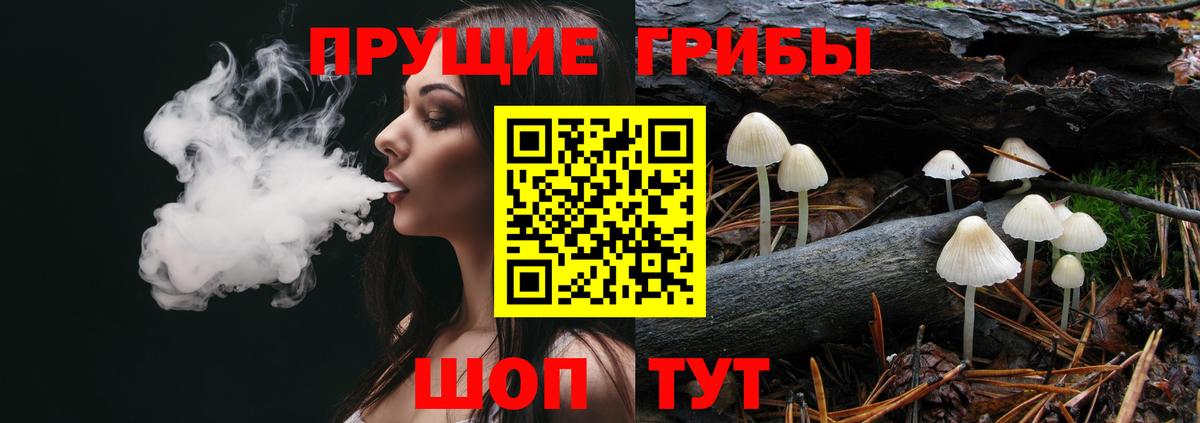 Обнинск  Псилоцибиновые грибы MAGIC MUSHROOMS  Вход с VPN  Псилоцибиновые грибы мухоморы 